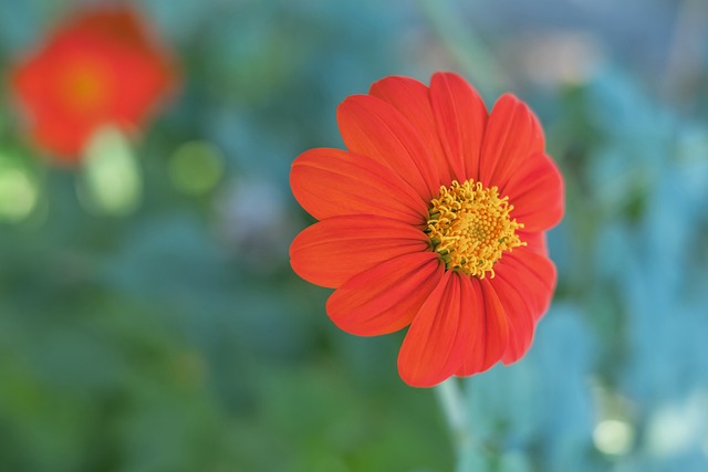 球的处理能 球的处理能