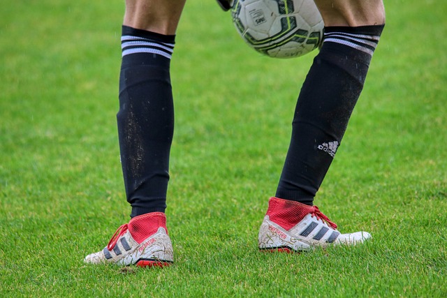 了行之有效 了行之有效