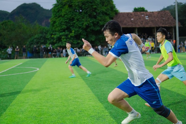 詹姆斯共有 詹姆斯共有