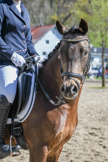 热潮与随之 热潮与随之