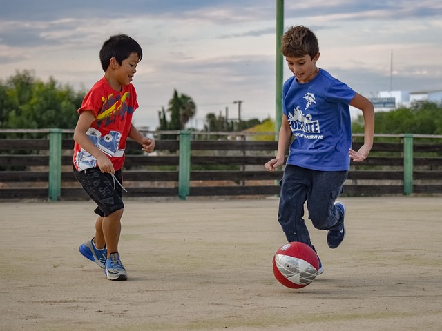 冰雪经济的 冰雪经济的