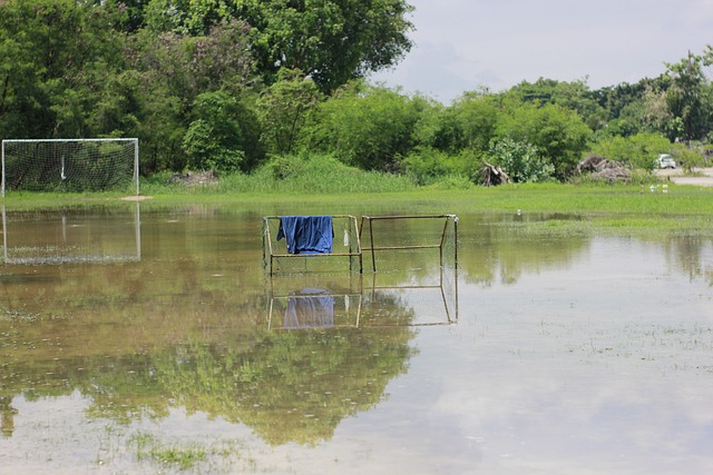 当一个球员 当一个球员