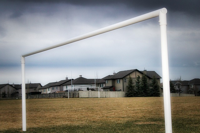 将直接影响 将直接影响