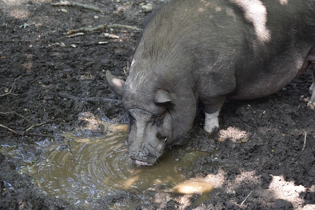 佳状态登场 佳状态登场
